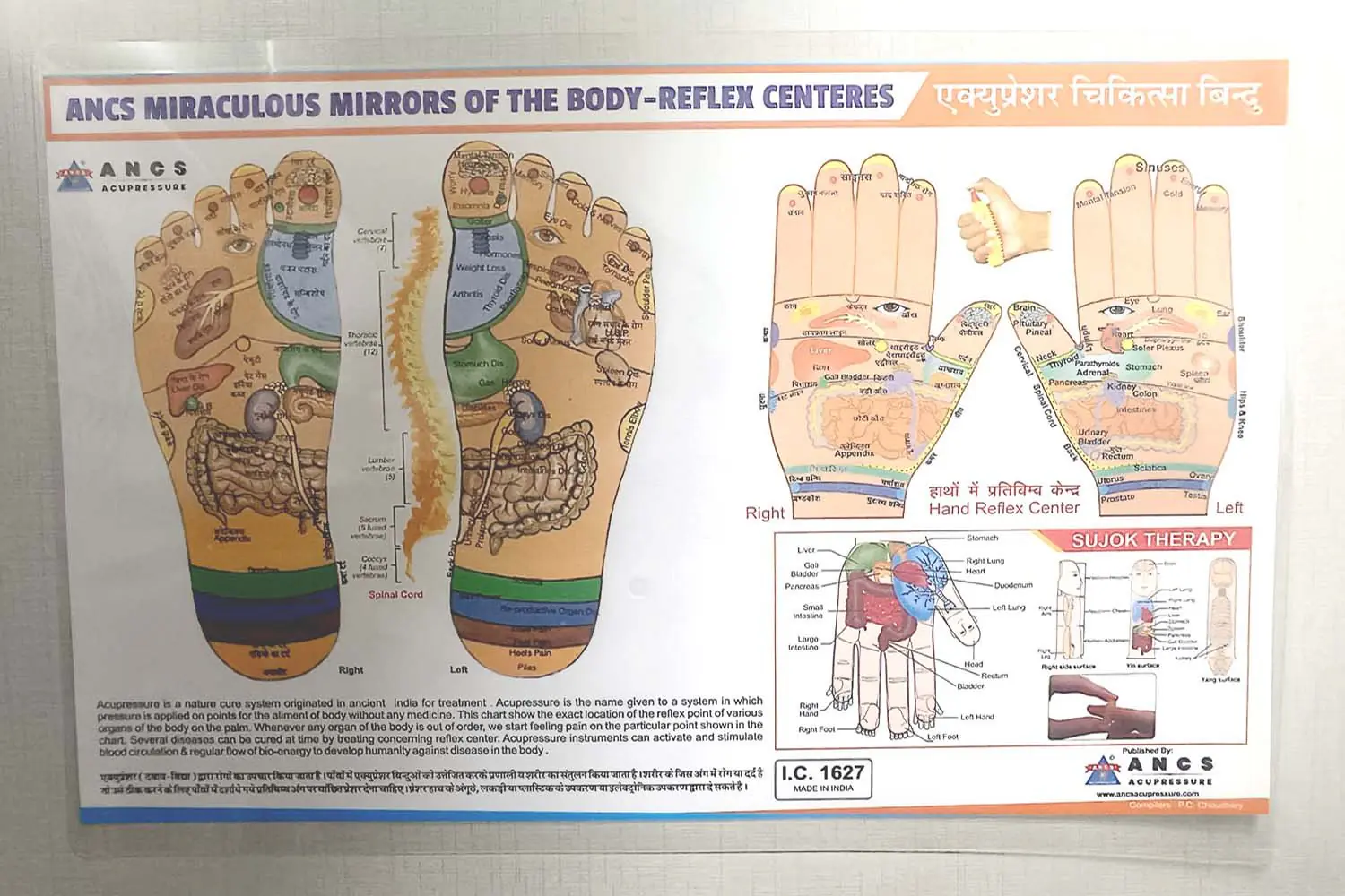 acupressure foot reflexology point chart (Hard Plastic Lamination Covered) Size-11"X18" - Image 1
