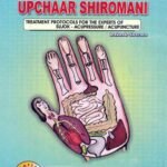 Upchar Siromani Sujok Byol Magent Use Guide Book - Hindi