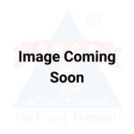 Tens MS Ultrasonic 4 Channel - Combo