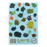 Sujok Seed Therapy - Park Jae Woo - Image 3