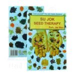 Sujok Seed Therapy - Park Jae Woo