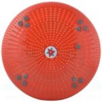 Acupressure Twister Body Weight Reducer (DISC)