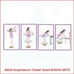 Acupressure Twister Body Weight Reducer (DISC) - Image 6