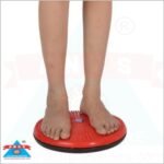 Acupressure Twister Body Weight Reducer (DISC) - Image 5