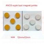 Sujok Byol Magnet (12mm) - 10PC - Image 3
